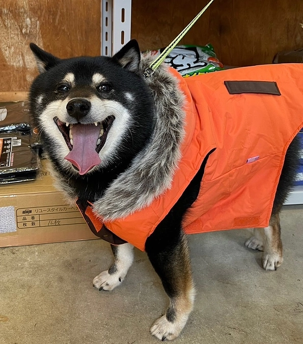 ３月１６日　活動報告（珠洲市配布会等）