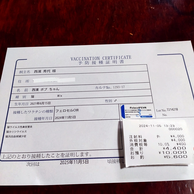 ワクチン接種💉