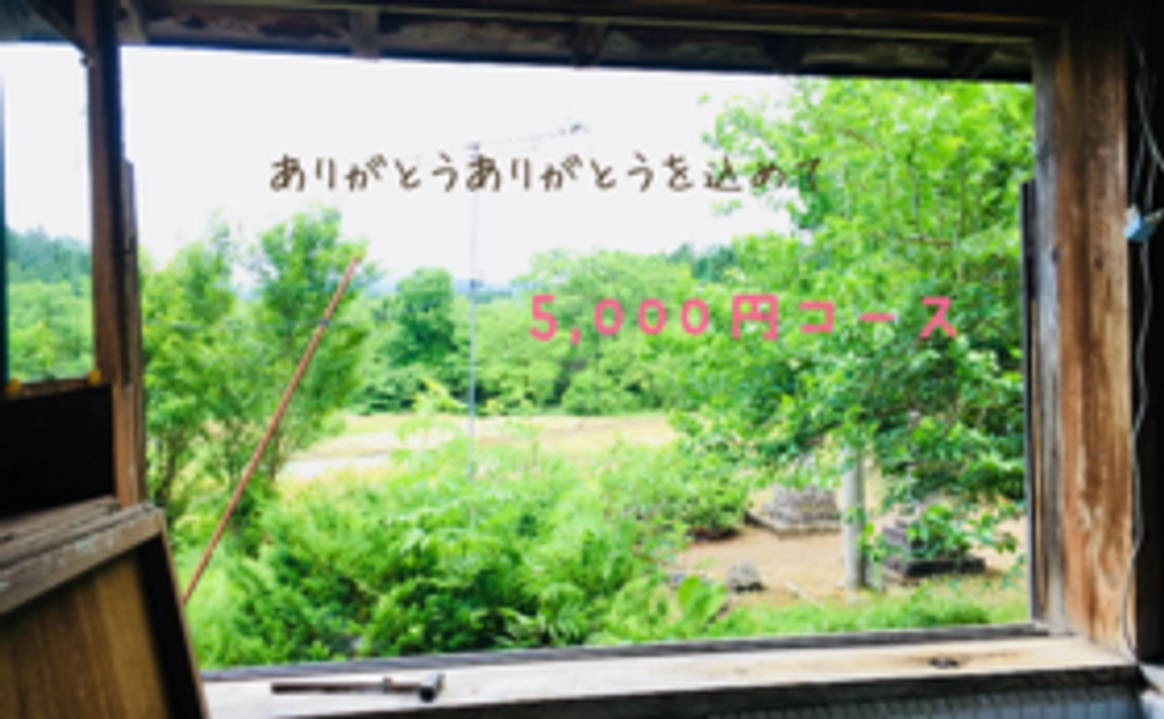 【白鷹町へ】ドリンクご利用とオリジナル手ぬぐい