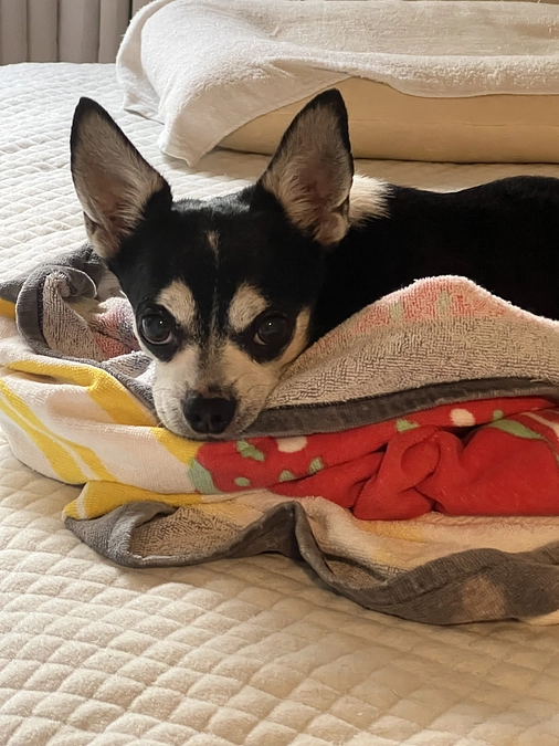 皆さま助けてください。