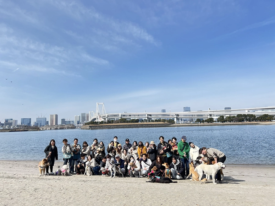 2月のチャリティーパックウォークはお台場で