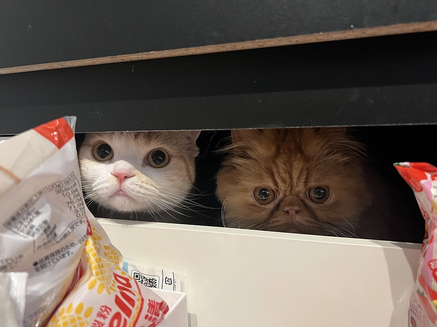 経過観察1カ月検査