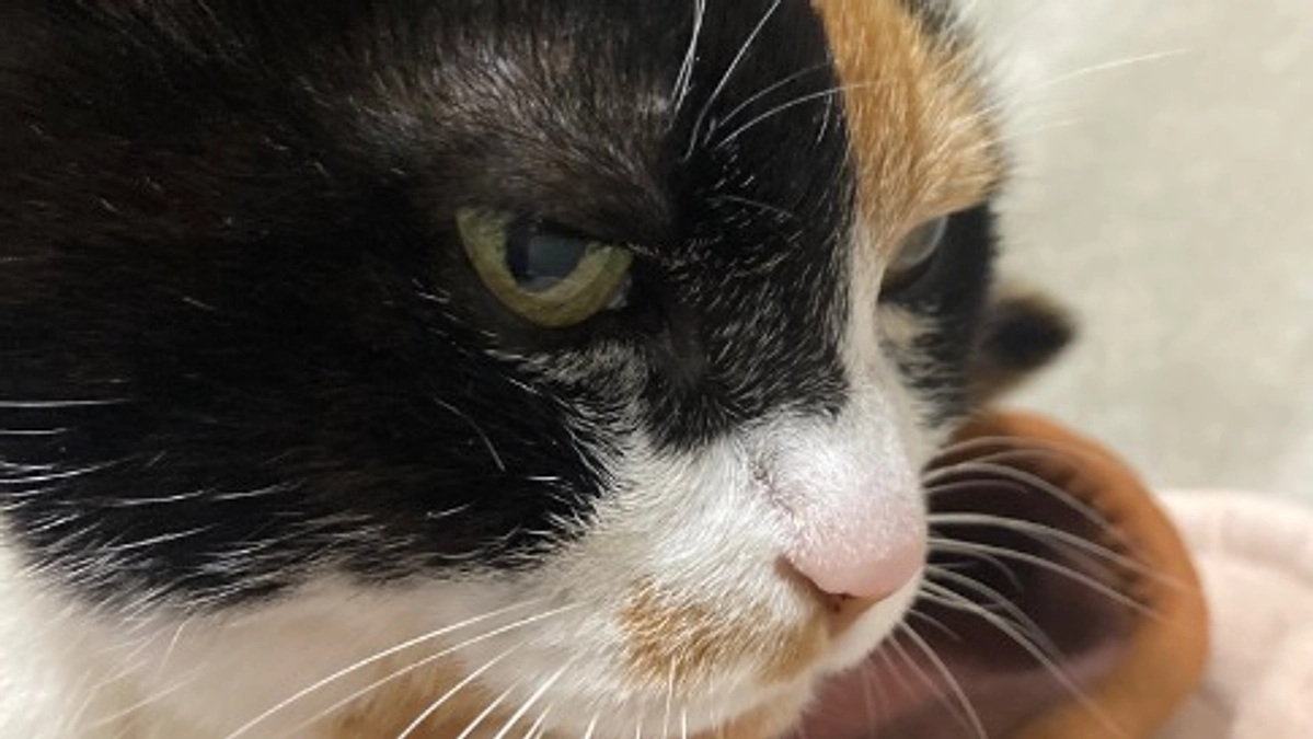 ■活動報告_８：一気に春の陽気🌸