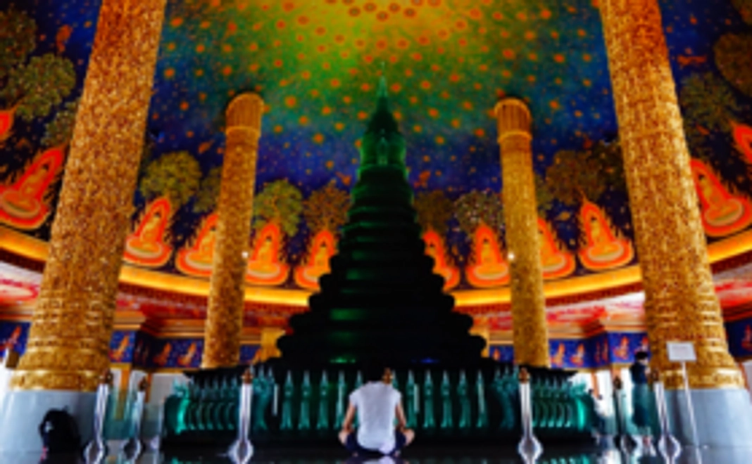 1. ただただ応援！プラン