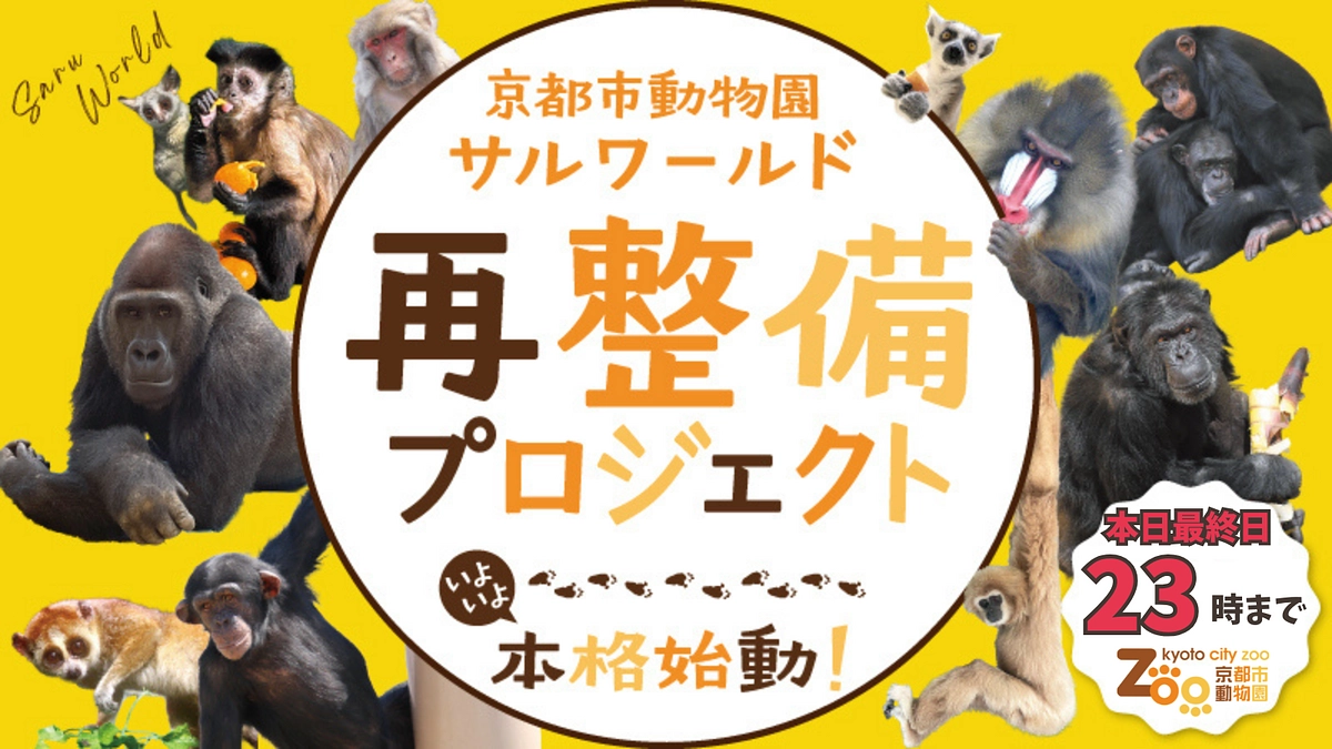 【最終日です！！】23時まで！最後まで応援お願いします！