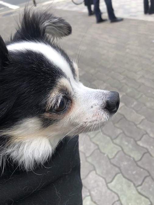 手術の日が決まりました！