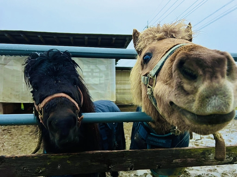 クラウドファンディング1日目。たくさんの応援ありがとうございます！