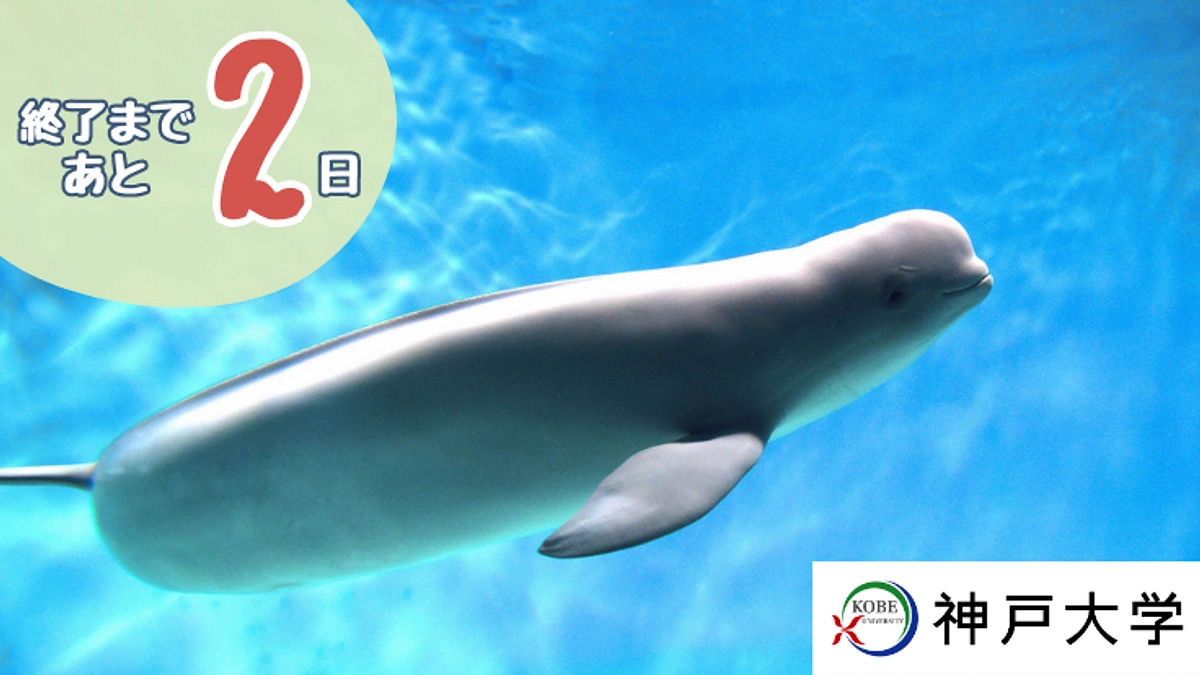 目視調査を実施してきました！