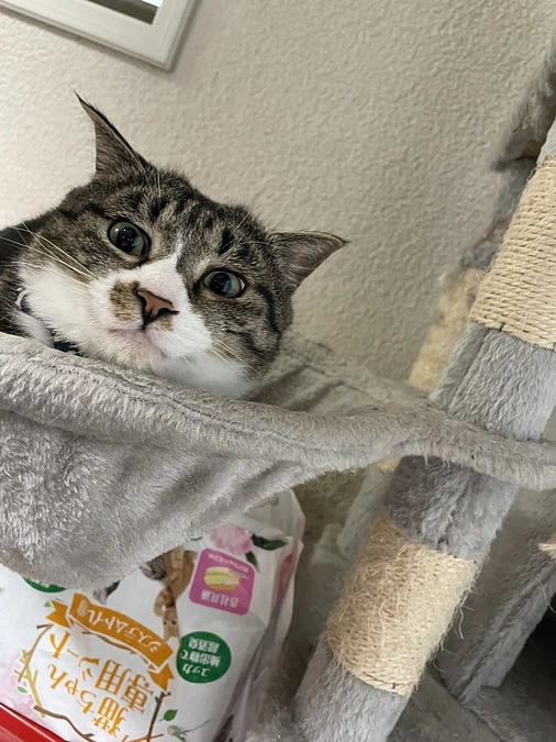 お久しぶりです。クラファン終了後もご支援して頂いた方々にお願いがあります。