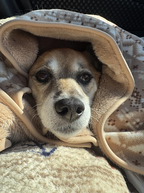 12/4 ☢️放射線治療3回目☢️