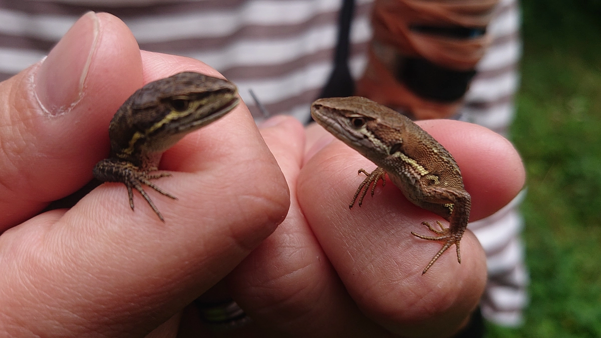 残すは3日となりました