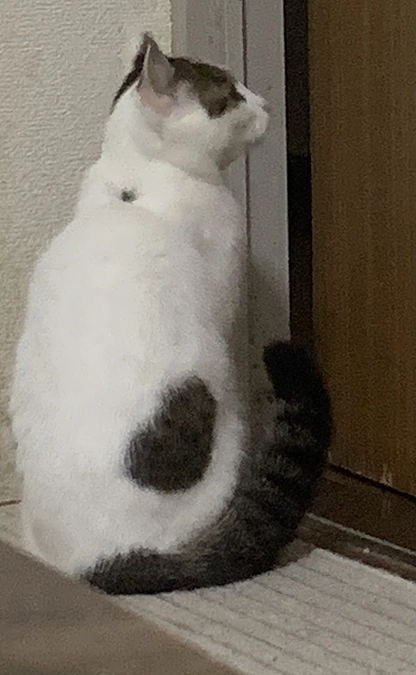 本プロジェクト終了まで残り3日