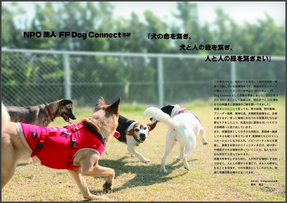 本日最終日です