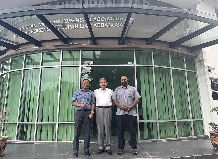 今後のマレーシアでの研究について