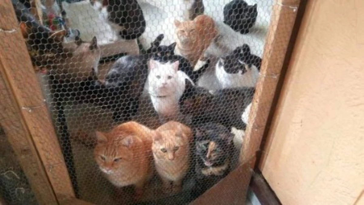 【あと3日！】最終目標達成でできること（二重扉、窓、コンテナハウスについて）　　