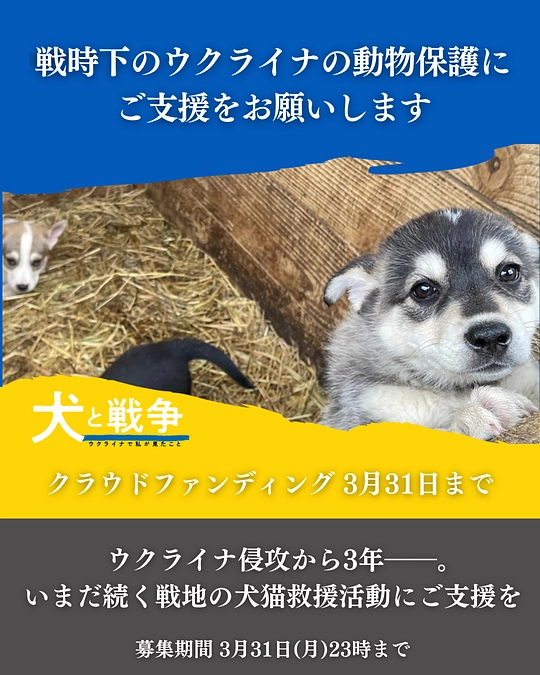 ウクライナへのご支援ラストスパートでございます。