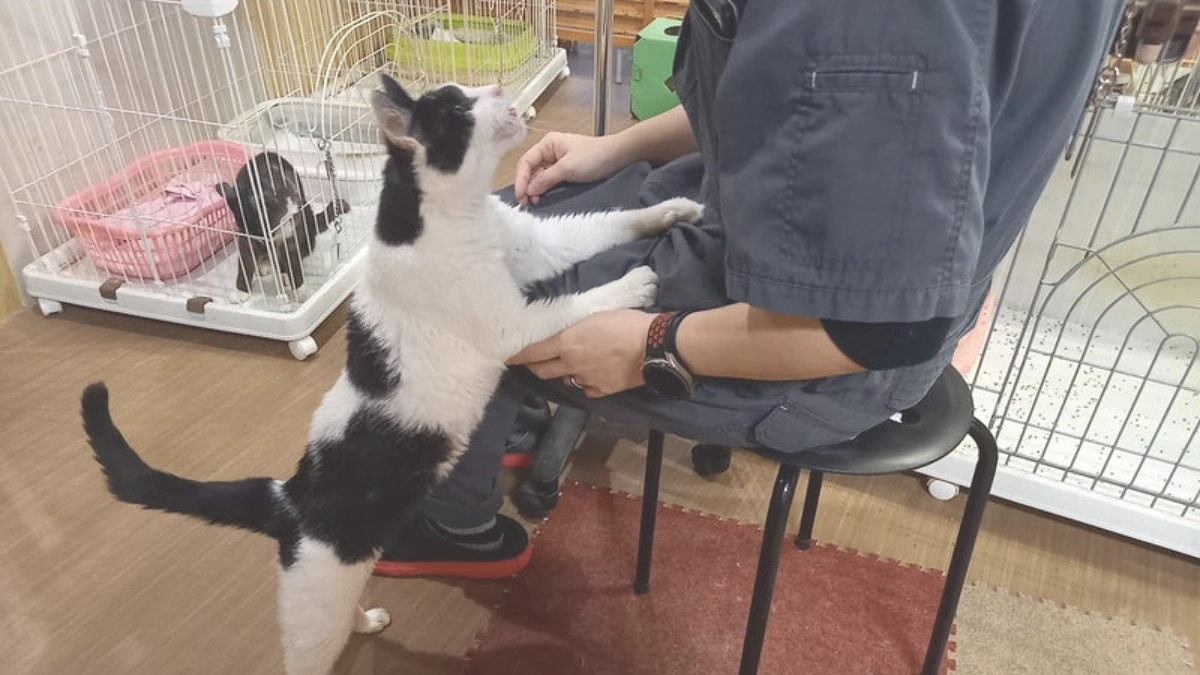 医療ケア巡回は、サイコーな時間にしてあげたい