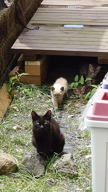 挑戦12日目‼️