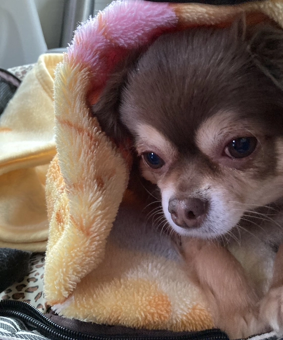 回復を願って…そして感謝