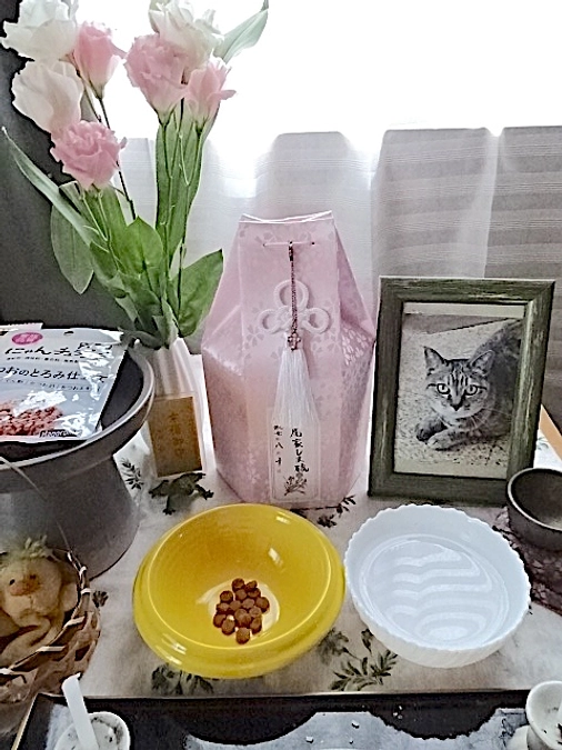 diary Vol.73　しまちゃん、またね。