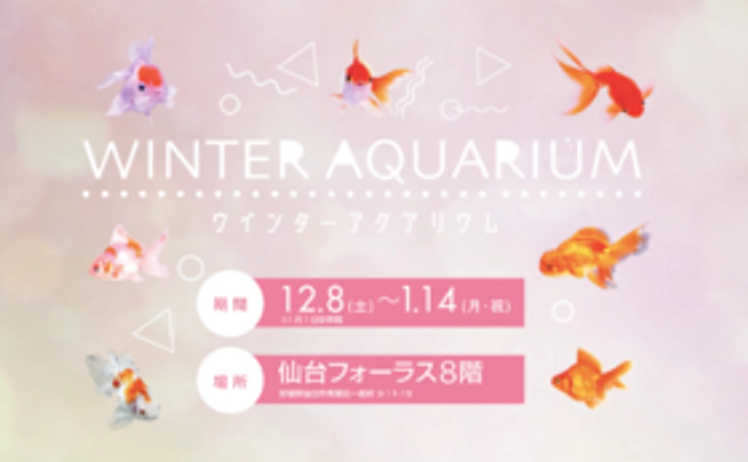 【大切な人とお二人で】幻想的な世界を演出したアクアリウムをお楽しみください