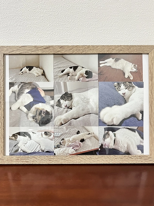 お久しぶりですが、ご報告です