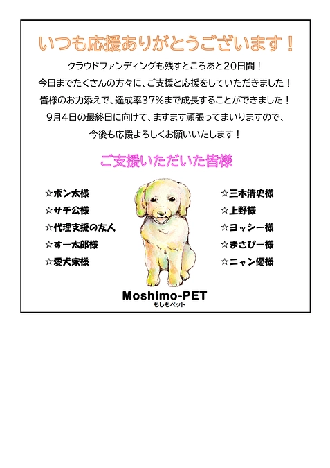 皆さんのお陰で、37%まで来ました！