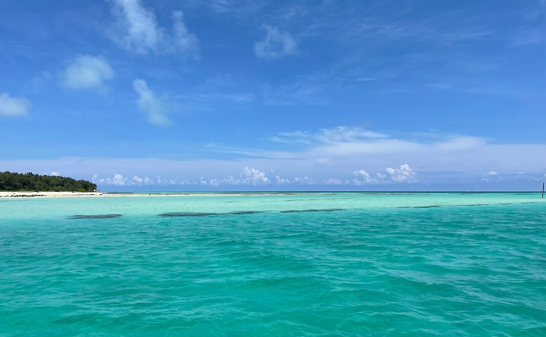 お礼のメール（3000円プラン）