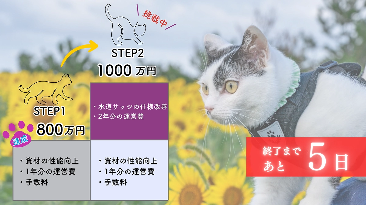 【あと5日！800万円突破！ついにSTEP2へ！】いただいた応援コメントを胸に、ラスト駆け抜けます！