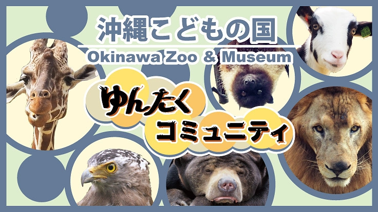 沖縄こどもの国｜ゆんたくコミュニティでずっと応援！