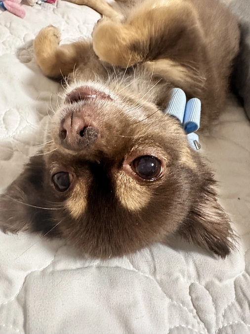 今日11/5  22：00　インスタライブします！！