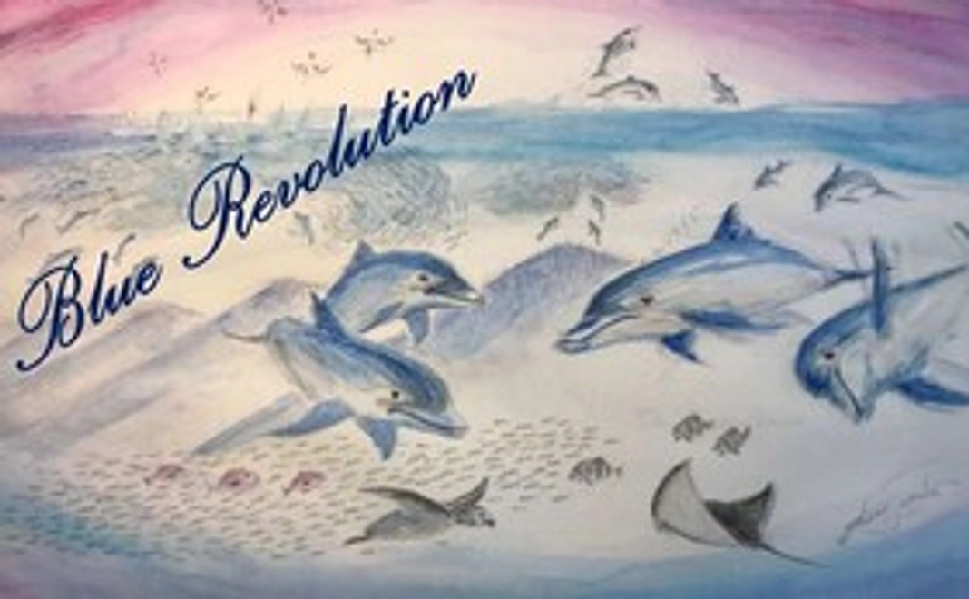 地球の未来を明るくするBlueRevolution★3000円パワー!