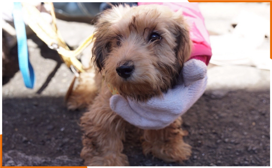 応援コース｜3,000円