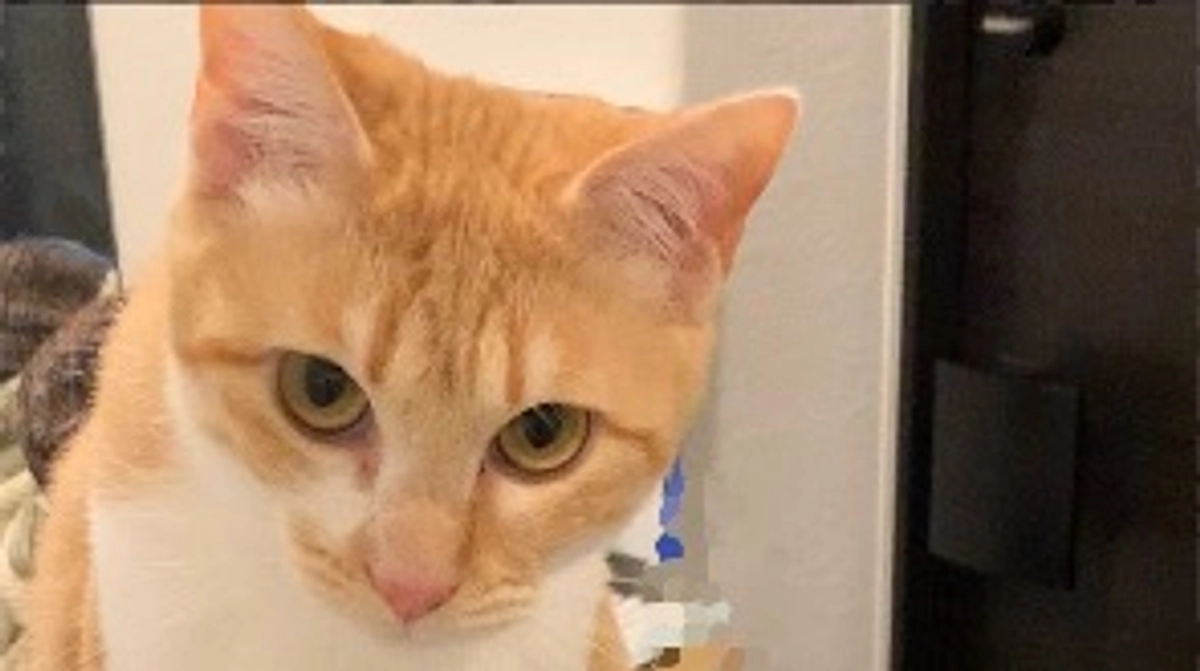 経過観察18日目（5/29）