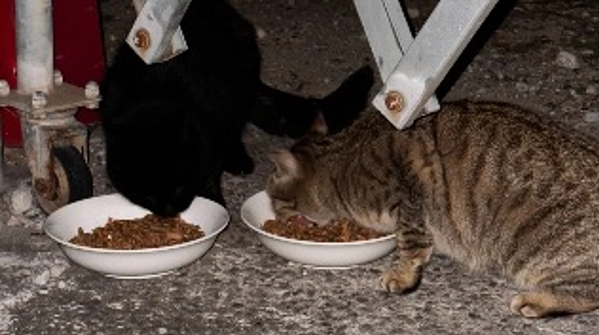 支援者の皆様へ