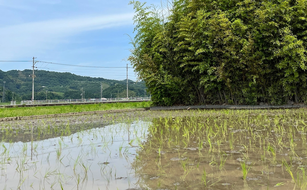 感謝メールとインスタグラムのフォロー