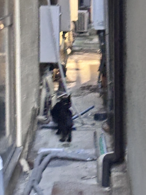 クックを見かけました。ネクストゴールへのご協力、心より感謝申し上げます。