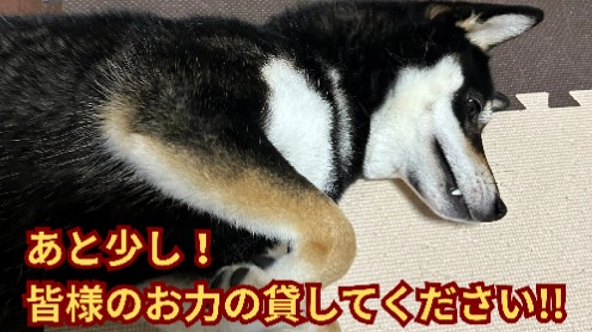 あと１２時間。本当に最後が近づいてきました。