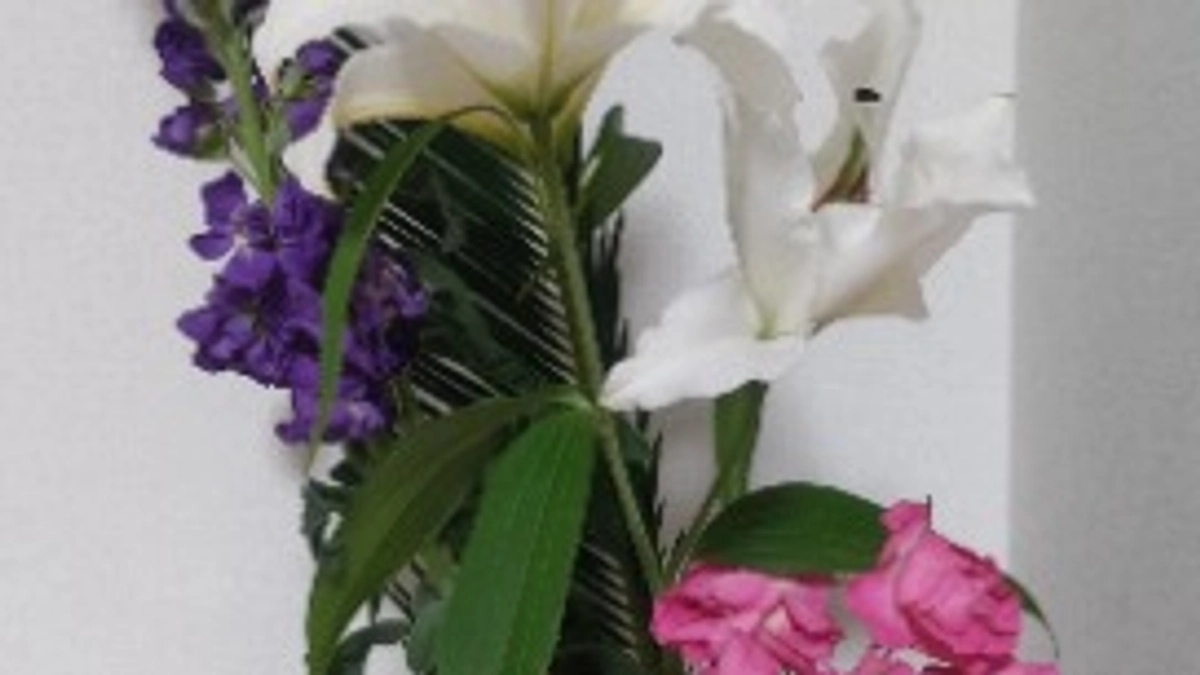 ありがとうございます