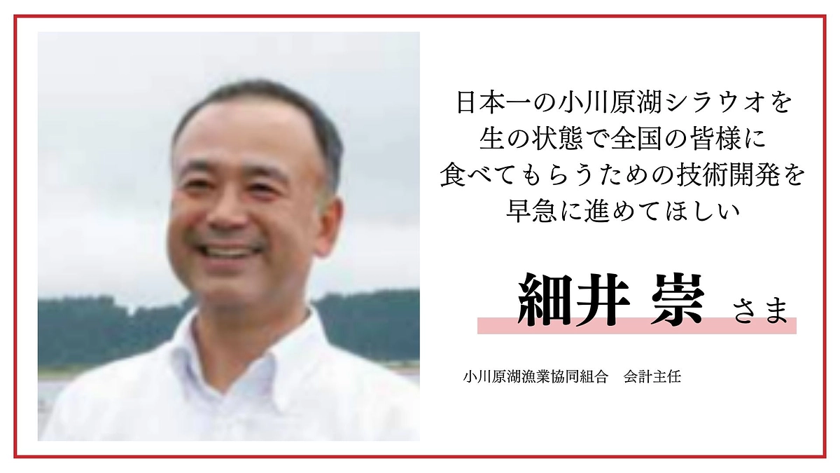 細井崇様より応援メッセージをいただきました！