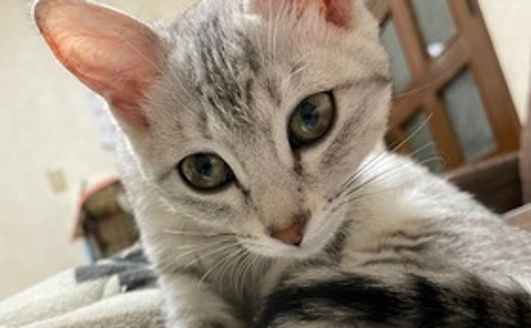 【モナ応援コース】1000円