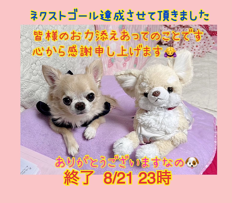 ネクストゴール達成のご報告と最終日までのお願い