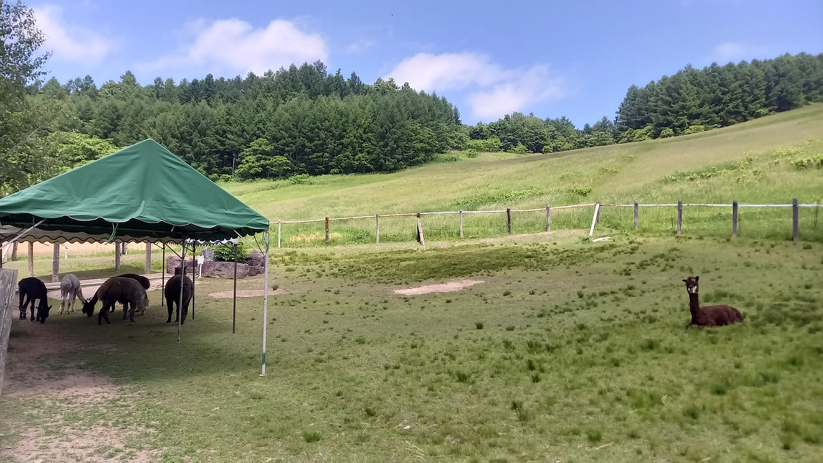 工事の前の準備