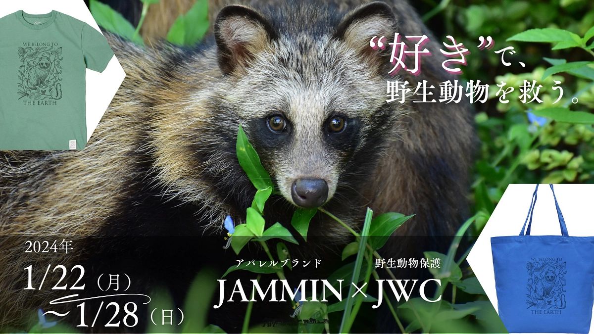 “好き”を買って野生動物を救う！！ JAMMINとのコラボは明日から！！