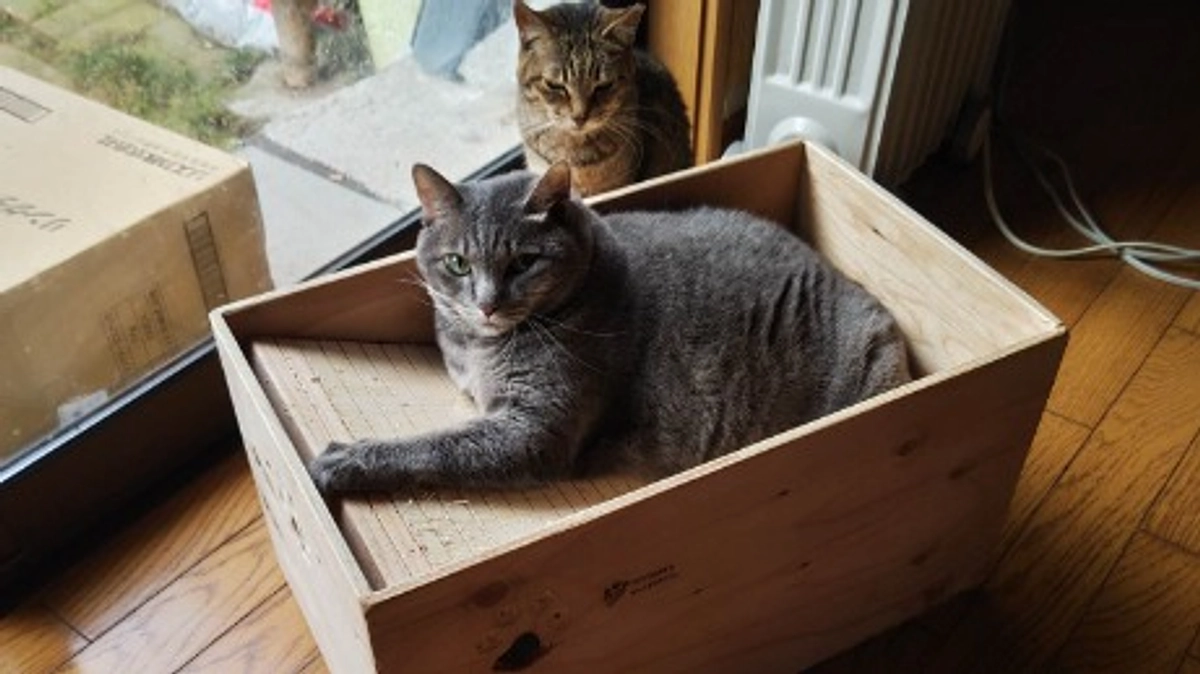 応援メッセージ　#６