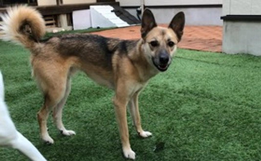 3千円｜リターンご不要な方向け・応援コース