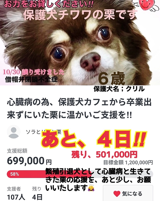 2024/1/24　クラウドファンディング残り４日　達成率５８％　となります。