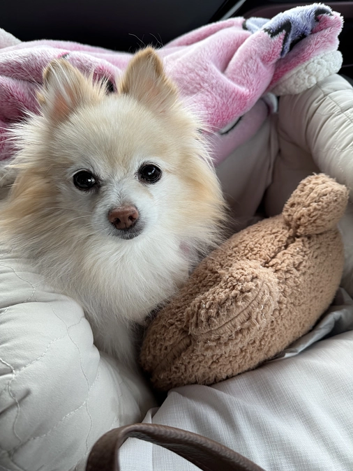 退院しました。