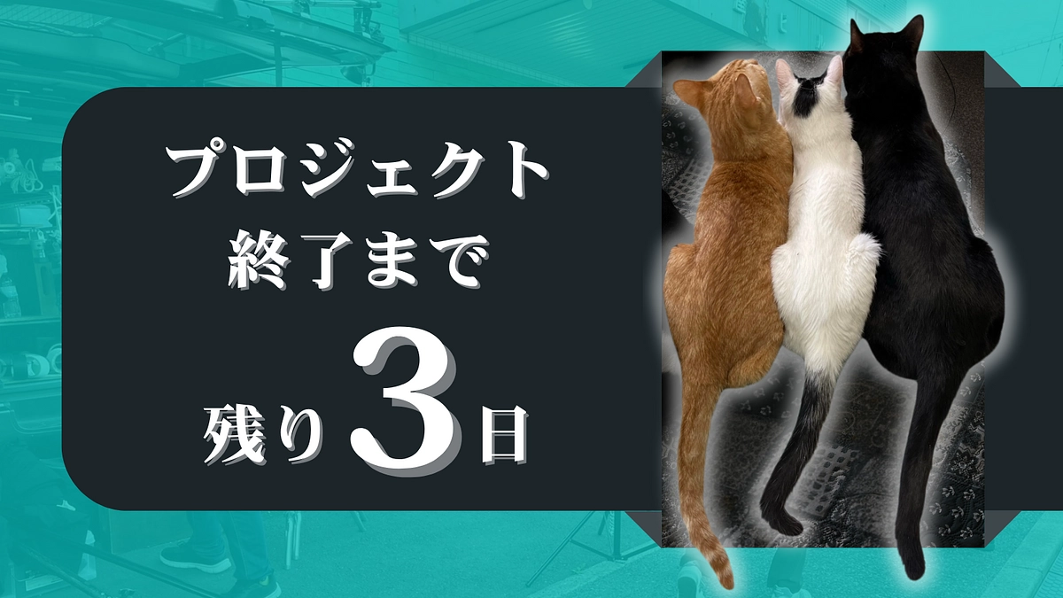 【終了まで、残り3日】ぷここん家の“今”を知ってください