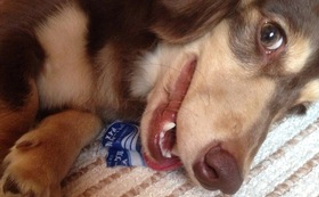 ありがとうございます　2